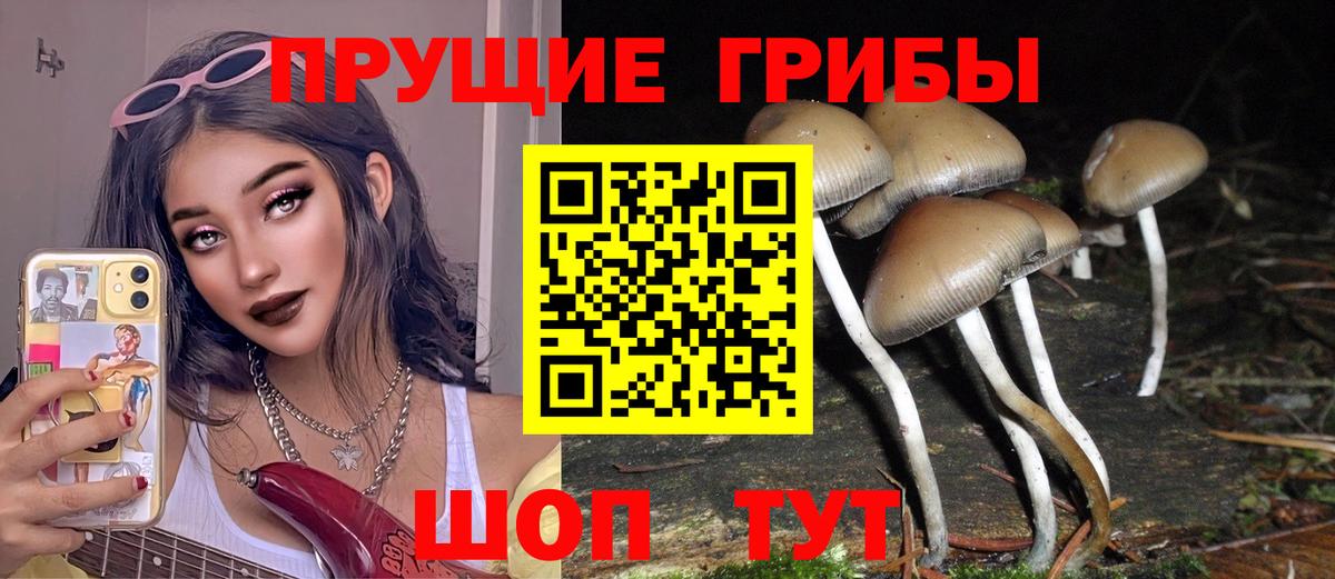 Алексеевка  наркотики  Вход с VPN  Псилоцибиновые грибы мухоморы  Псилоцибиновые грибы мицелий 